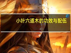小叶六道木的功效与配伍（小叶六道木）