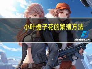 小叶栀子花的繁殖方法