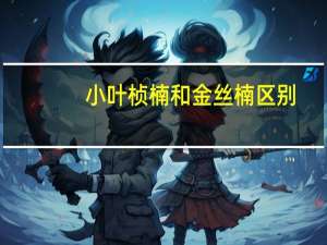 小叶桢楠和金丝楠区别