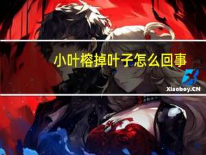 小叶榕掉叶子怎么回事