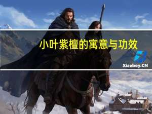 小叶紫檀的寓意与功效