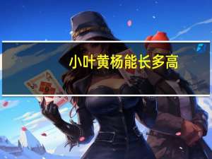 小叶黄杨能长多高