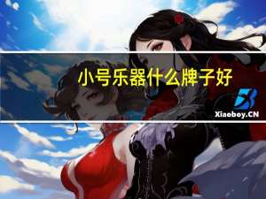 小号乐器什么牌子好（小号乐器什么牌子好）