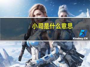 小司是什么意思