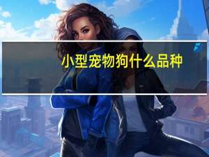 小型宠物狗什么品种