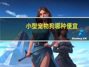 小型宠物狗哪种便宜