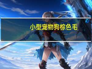 小型宠物狗棕色毛