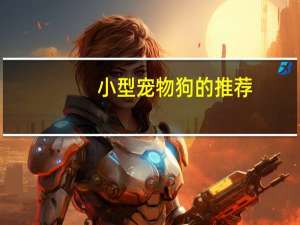 小型宠物狗的推荐