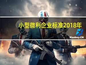 小型微利企业标准2018年（小型微利企业标准2018）