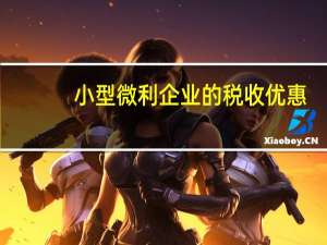 小型微利企业的税收优惠