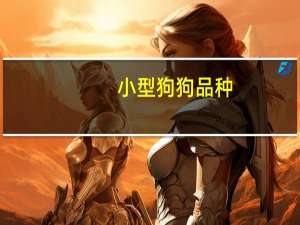 小型狗狗品种
