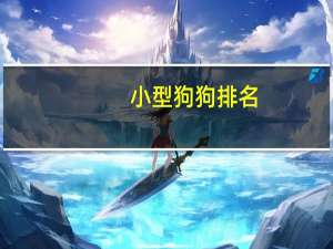 小型狗狗排名