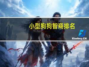 小型狗狗智商排名