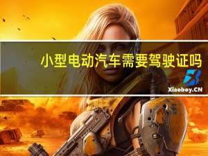 小型电动汽车需要驾驶证吗