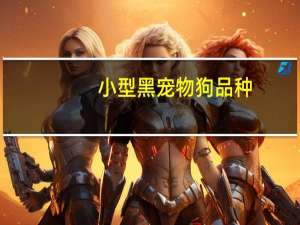 小型黑宠物狗品种