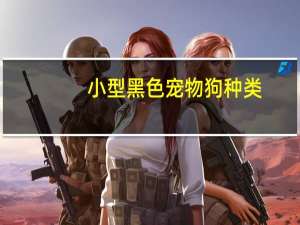 小型黑色宠物狗种类