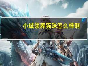 小城领养猫咪怎么样啊