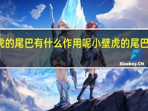 小壁虎的尾巴有什么作用呢 小壁虎的尾巴有什么作用