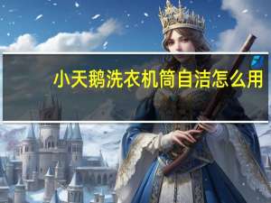 小天鹅洗衣机筒自洁怎么用