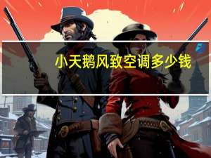小天鹅风致空调多少钱