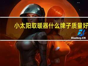 小太阳取暖器什么牌子质量好