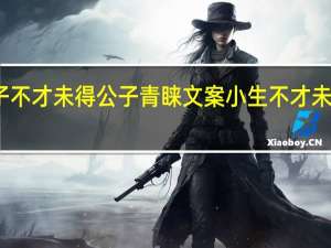 小女子不才未得公子青睐文案 小生不才未得姑娘青睐