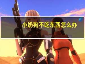 小奶狗不吃东西怎么办