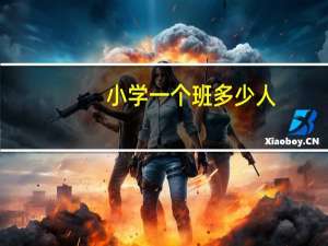 小学一个班多少人