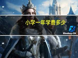 小学一年学费多少