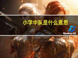小学中队是什么意思