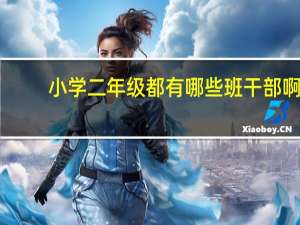 小学二年级都有哪些班干部啊。