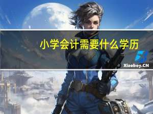 小学会计需要什么学历