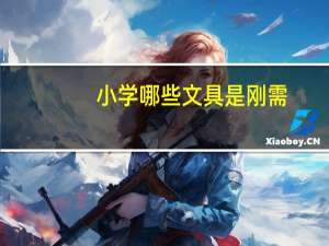 小学哪些文具是刚需