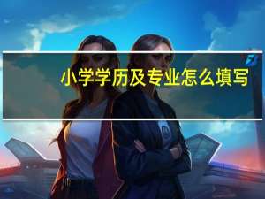 小学学历及专业怎么填写