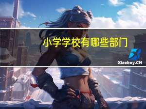 小学学校有哪些部门