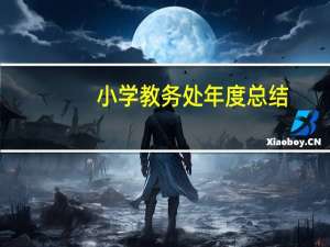 小学教务处年度总结（教务工作总结小学）