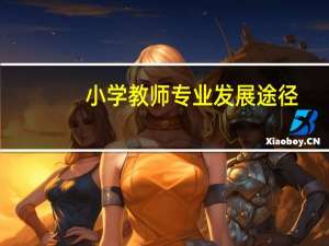 小学教师专业发展途径