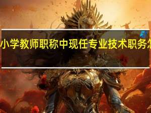 小学教师职称中现任专业技术职务怎么填
