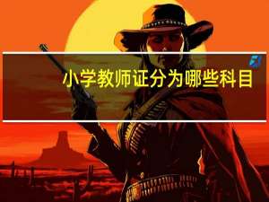 小学教师证分为哪些科目
