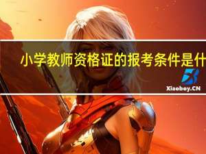 小学教师资格证的报考条件是什么
