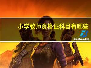 小学教师资格证科目有哪些