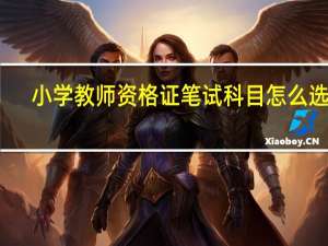 小学教师资格证笔试科目怎么选择