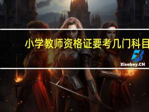 小学教师资格证要考几门科目