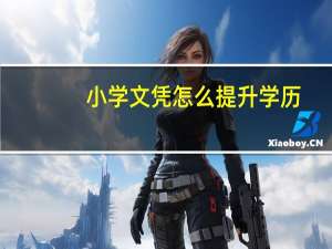 小学文凭怎么提升学历