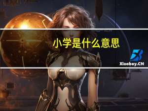 小学是什么意思