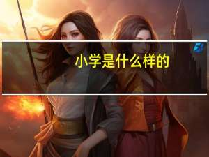 小学是什么样的