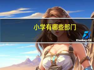 小学有哪些部门