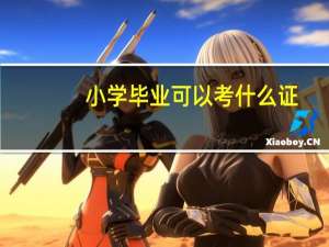 小学毕业可以考什么证