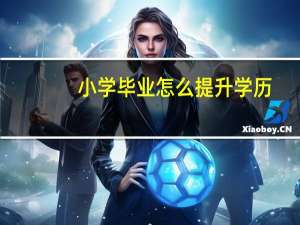 小学毕业怎么提升学历