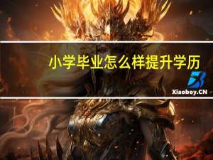 小学毕业怎么样提升学历